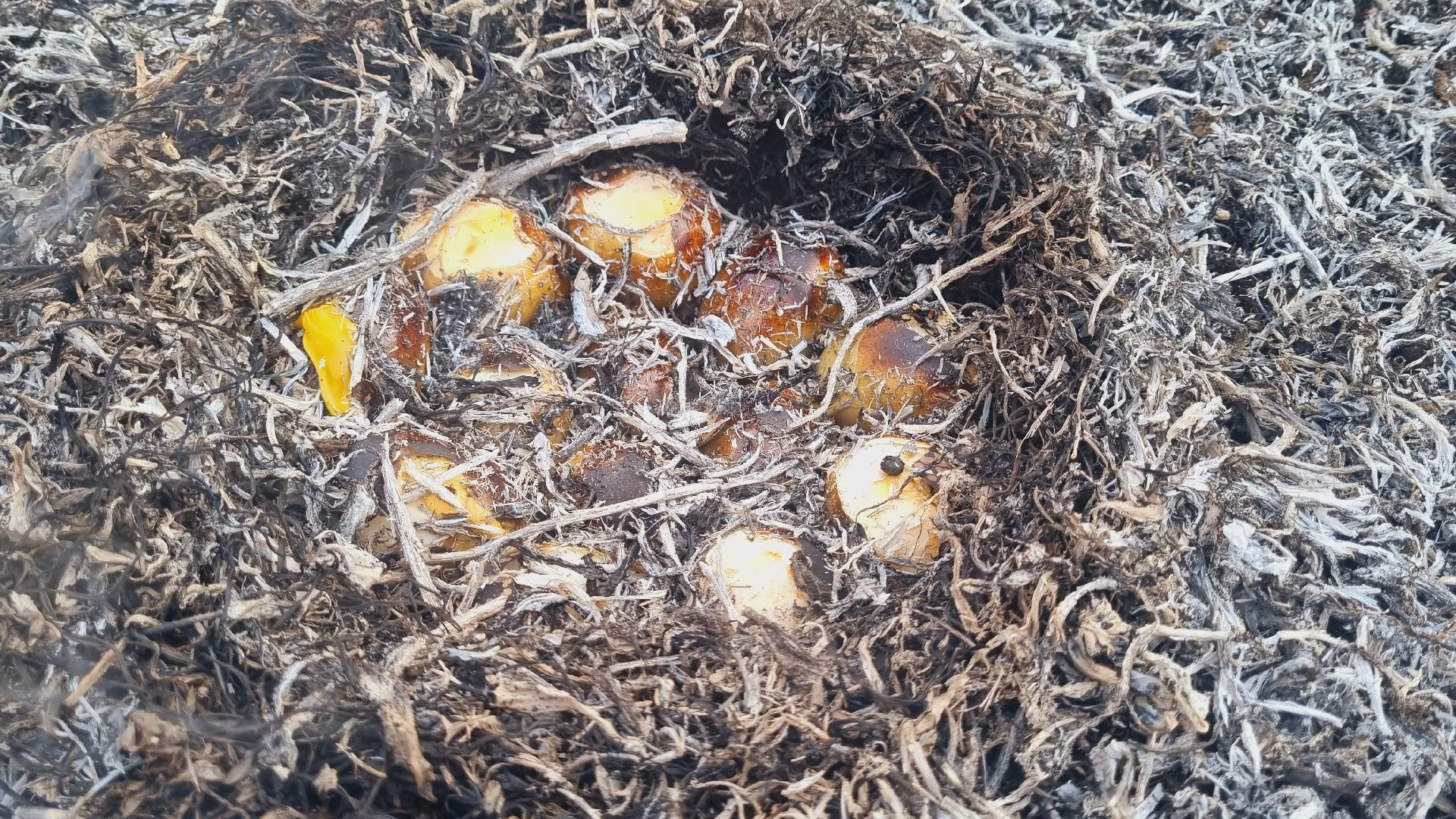 Подмосковье, Ивантеевка, МЧС, МВД, пал травы, пожароопасный сезон, ЧП