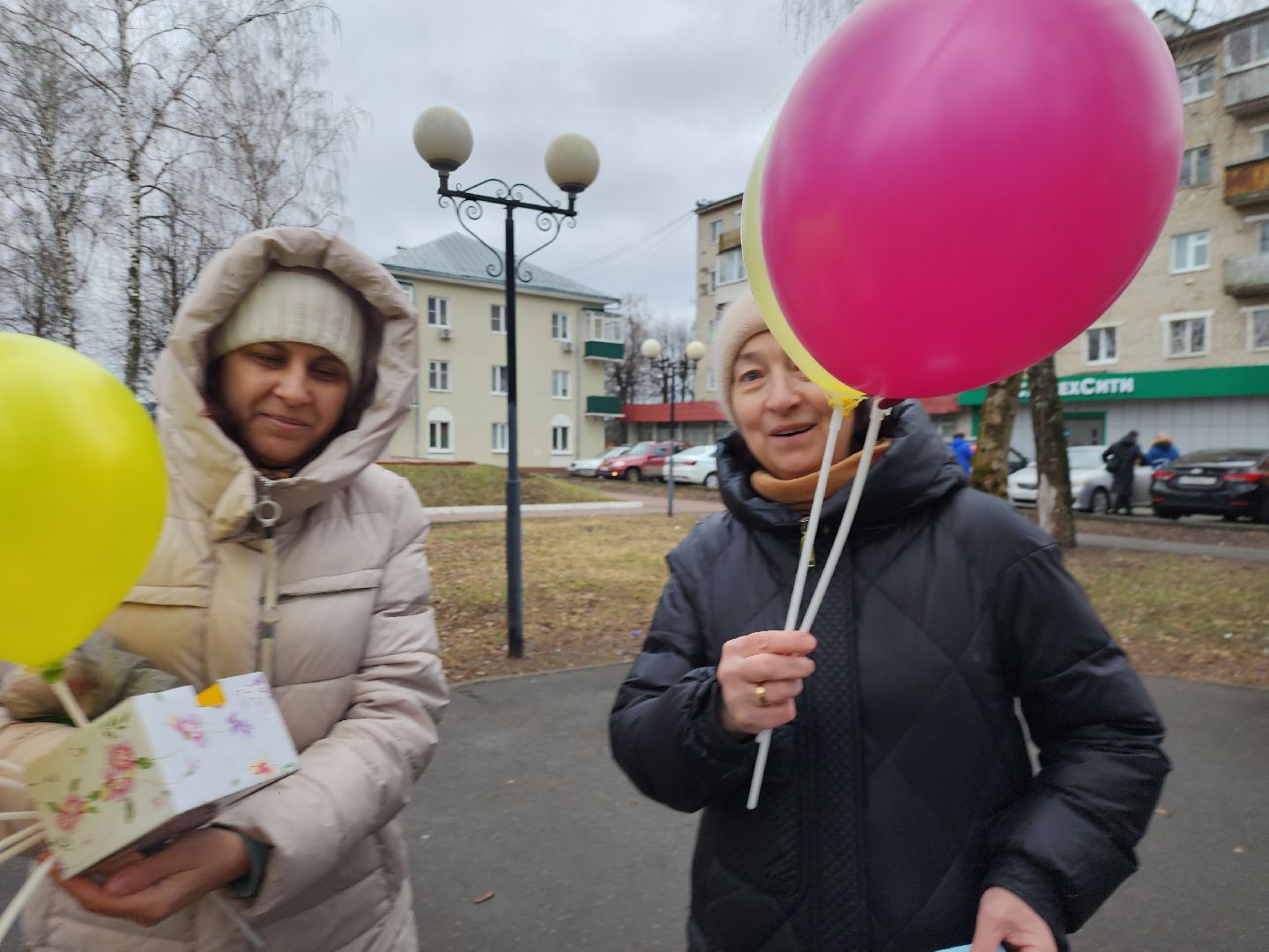 серпухов, подмосковье, волонтер подмосковья,