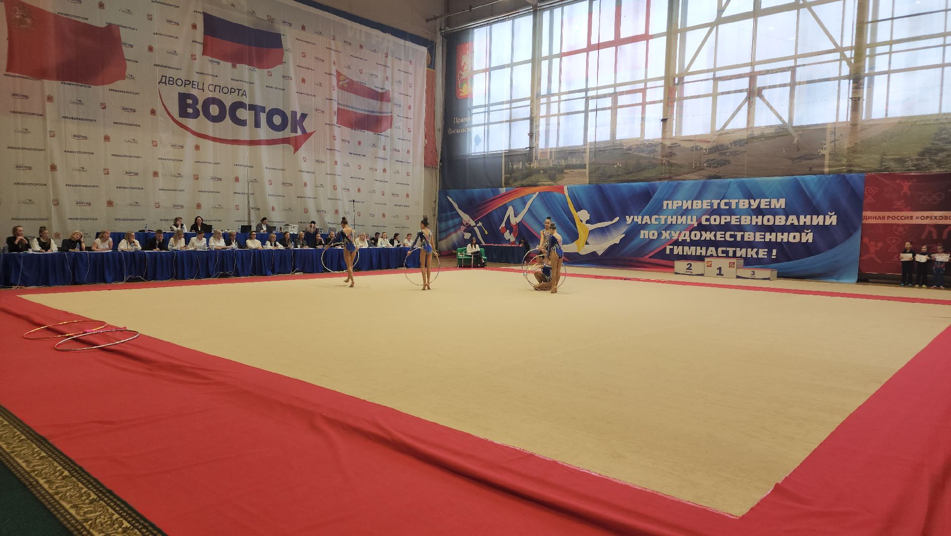 художественная гимнастика, спорт, орехово зуево,