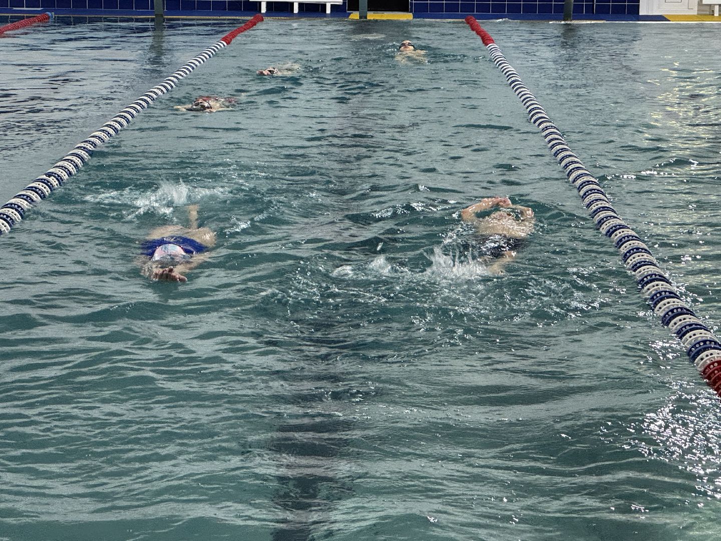 учитель, плавание, спорт, Балашиха,