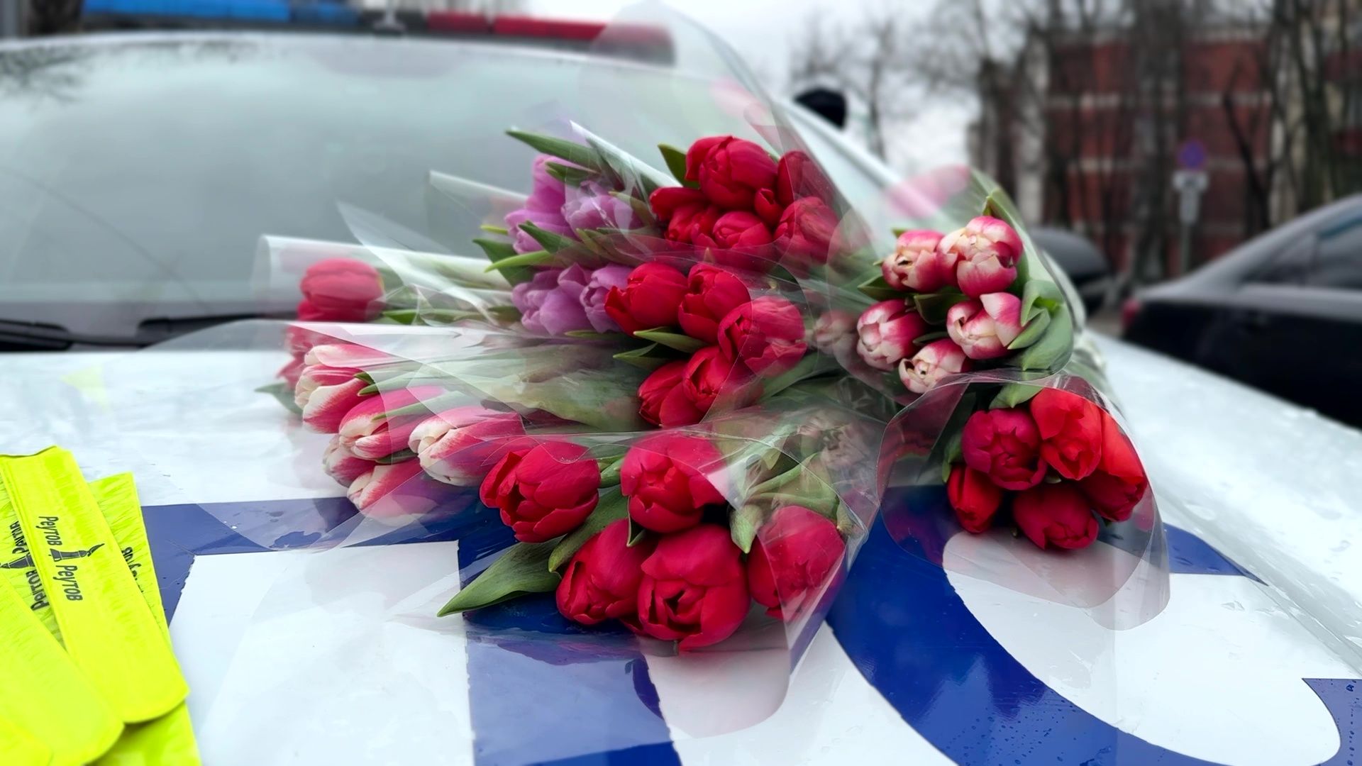 реутов, гибдд, проверка документов, цветы для автоледи, тюльпаны, 8 марта,