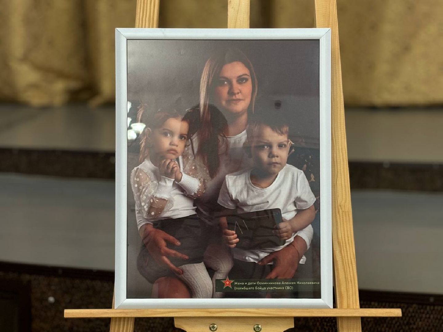 воскресенск, выставка, сво,