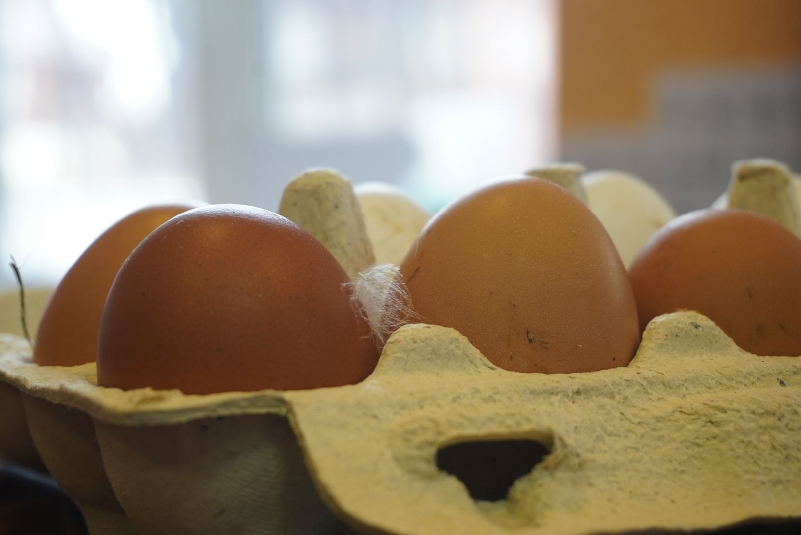 павловский посад, экономика, сельское хозяйство,