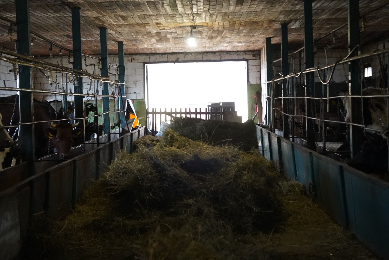 павловский посад, экономика, сельское хозяйство,