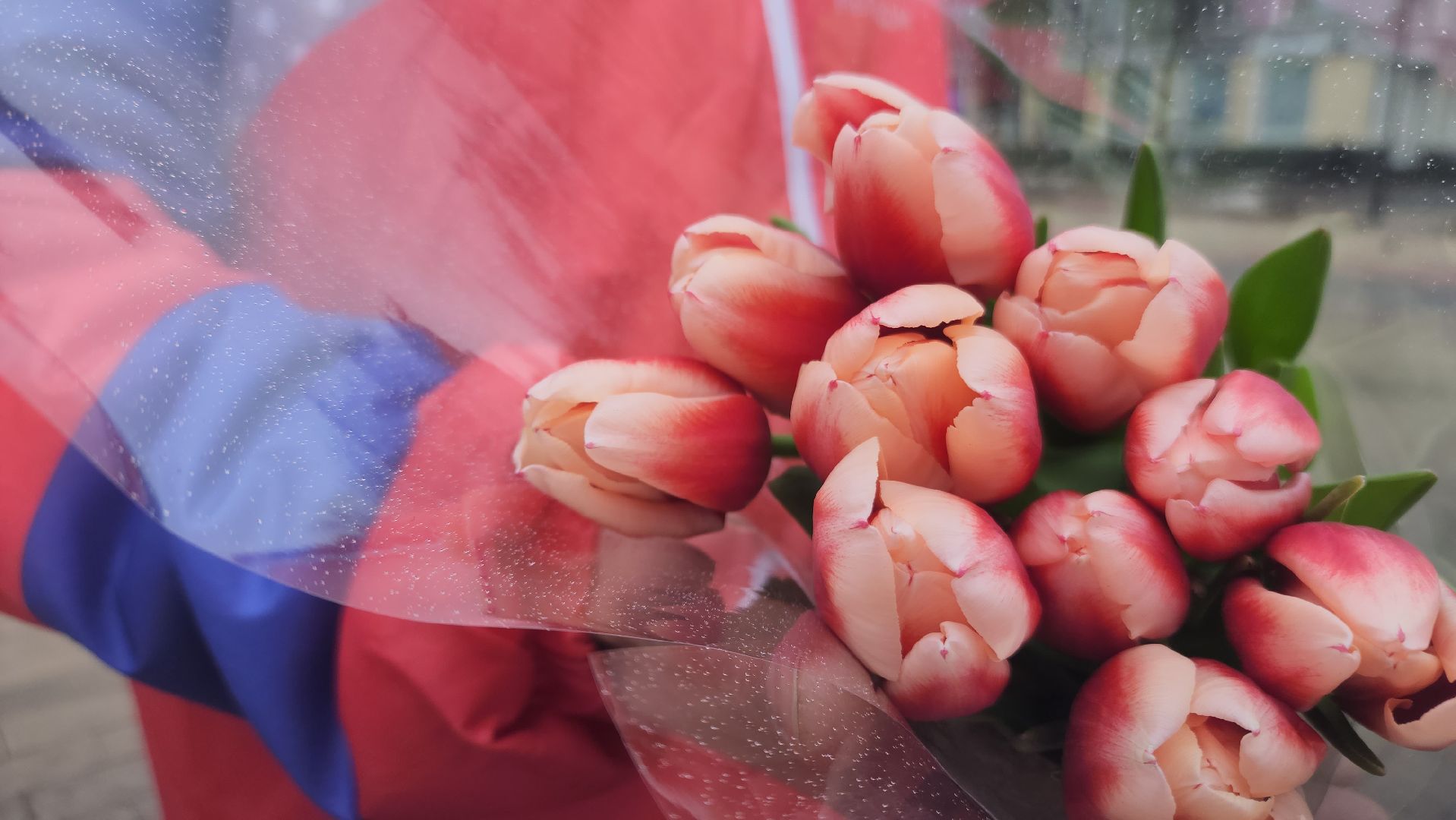 ступино, 8 марта, волонтеры,