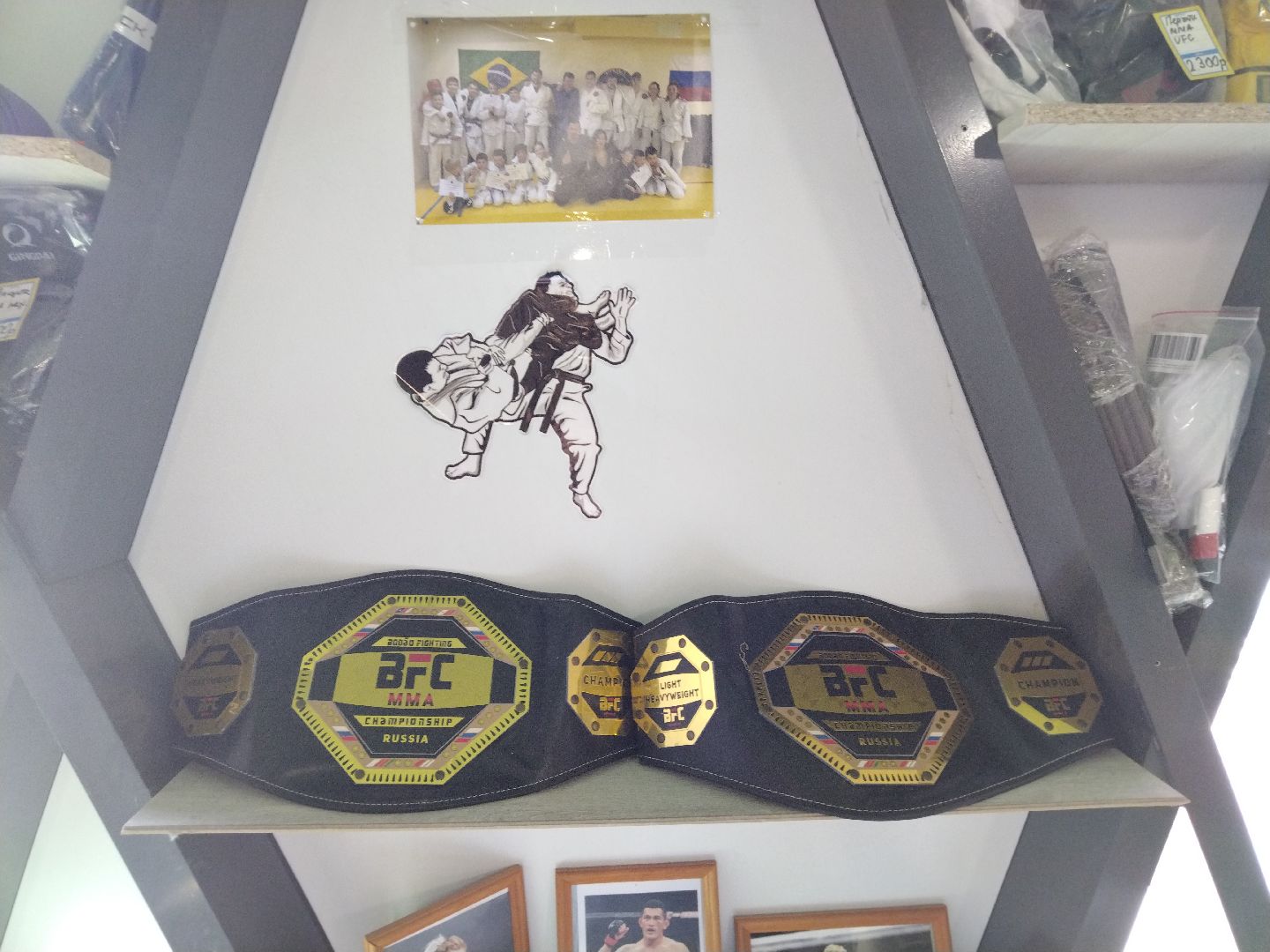 UFC, Мытищи, Бразилия, Россия, Франсимар Баррозо