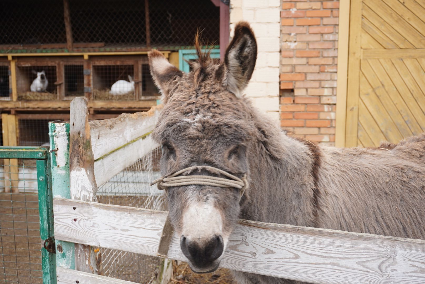павловский посад, туризм, парк,