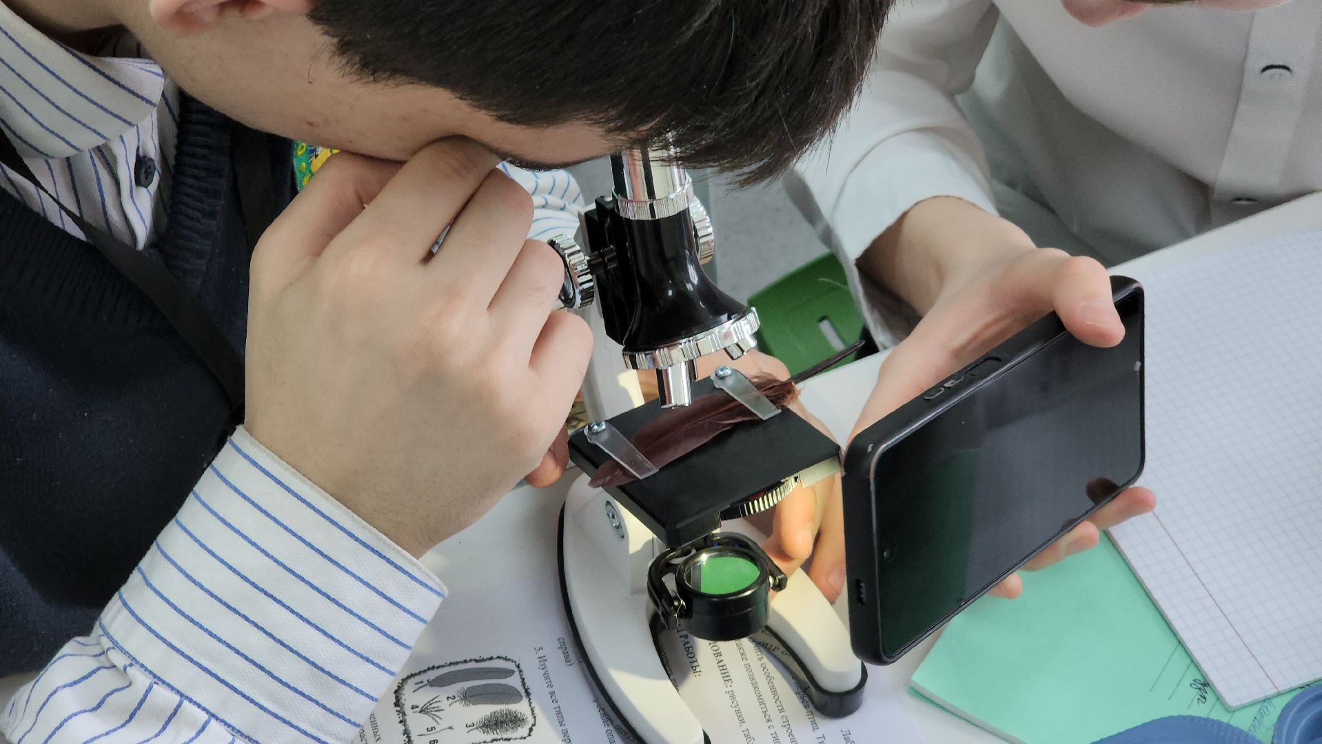 точка роста, руза, Образование, Школа, Биология,