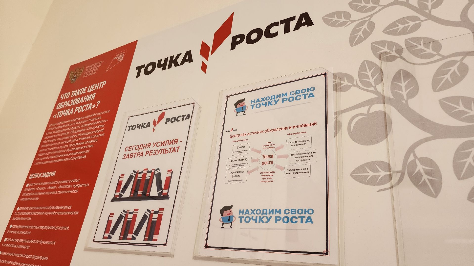 точка роста, руза, Образование, Школа, Биология,