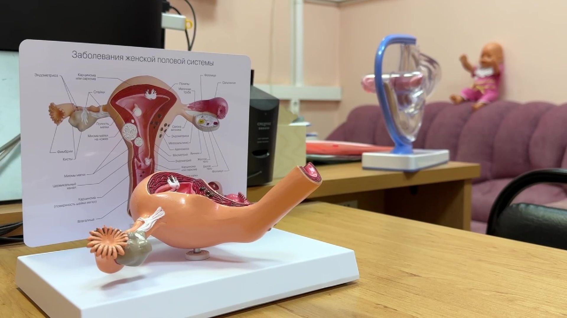 реутов, гинекология, елена шинкаренко, женская консультация, медицина,