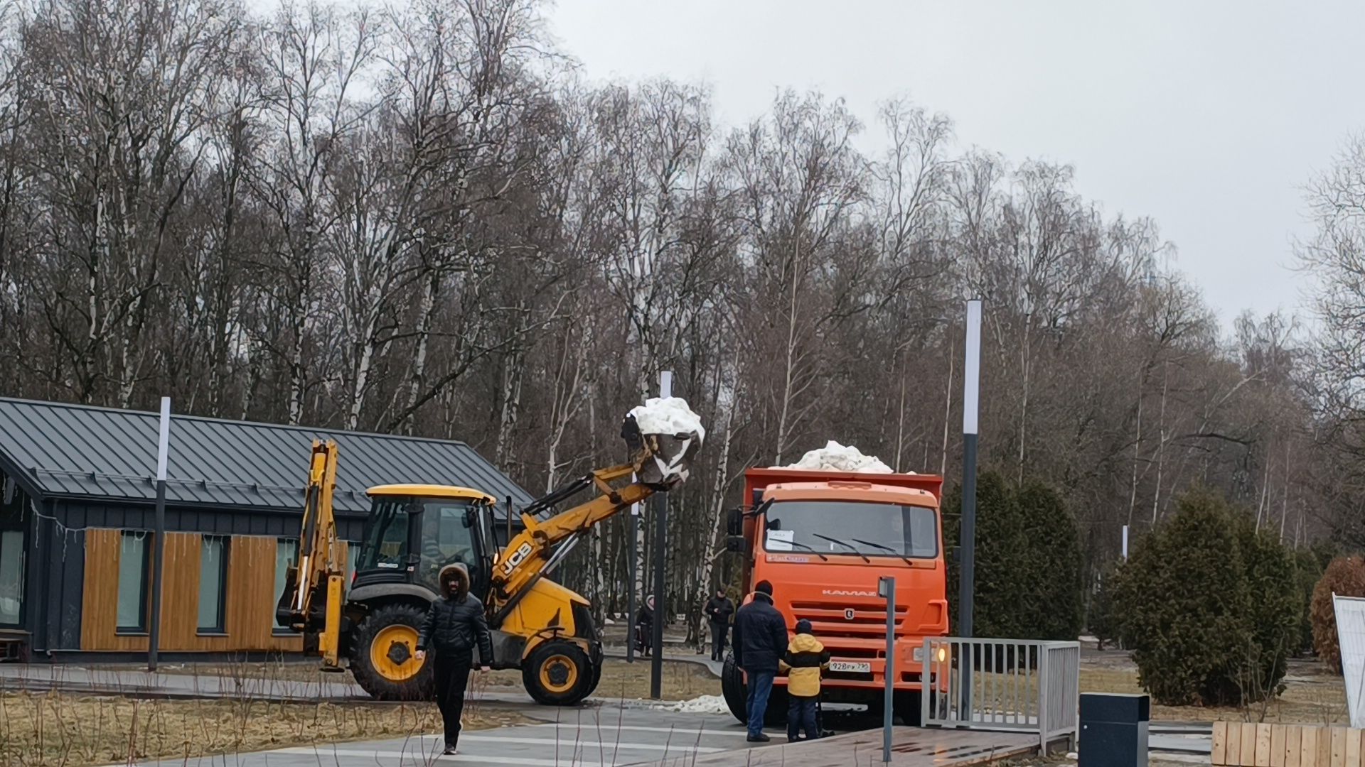 снег, парк, лобня,