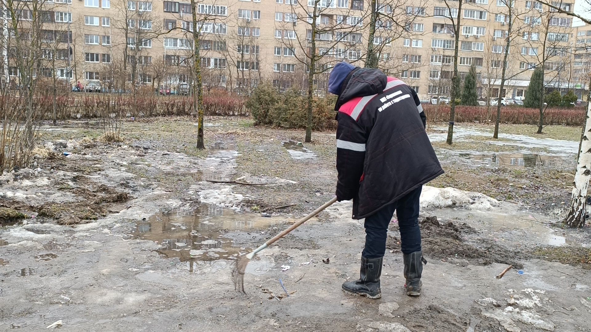 снег, парк, лобня,