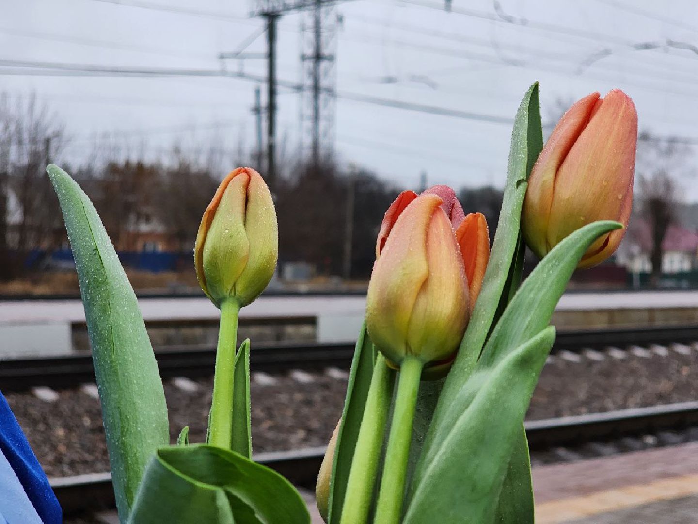 РЖД, Луховицы,