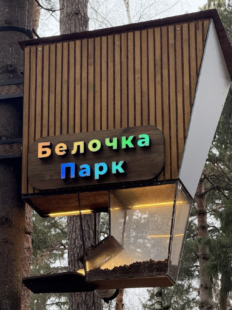 белки, парк, технологии, кормушки, балашиха