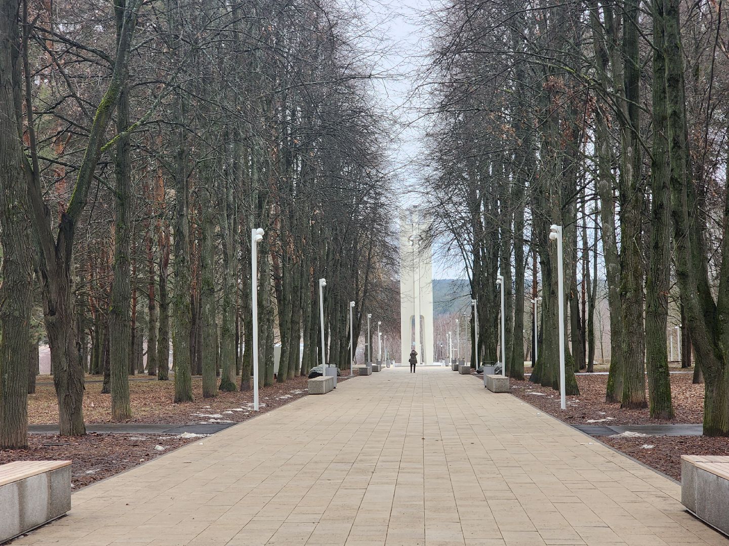 пущино, серпухов, благоустройство,