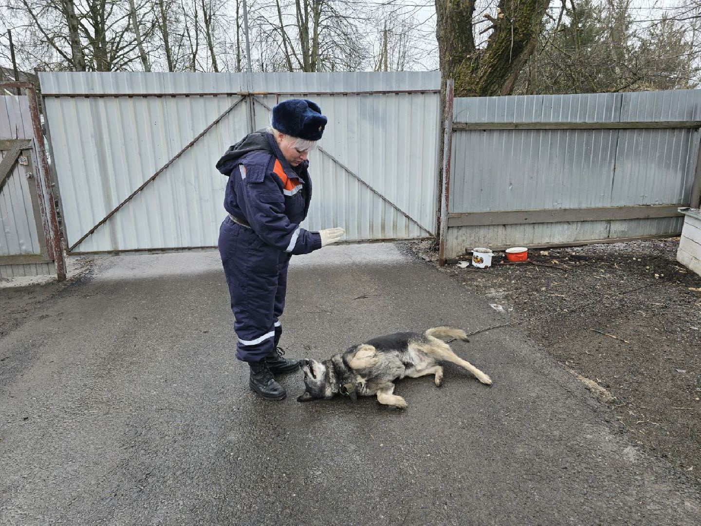 можайск, можайский городской округ, подмосковье, 8 марта, спасатель, профессия, Мособлпожспас,