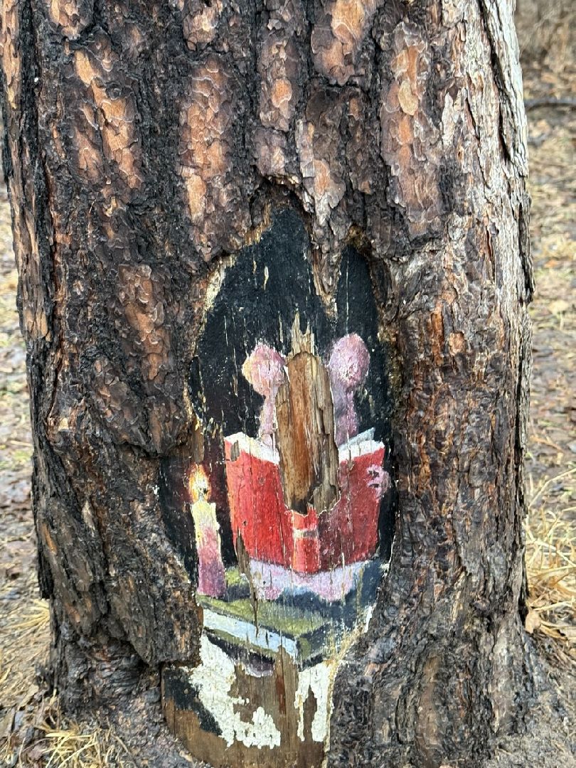 рисунки, железнодорожный, ольгинский лесопарк, природа,