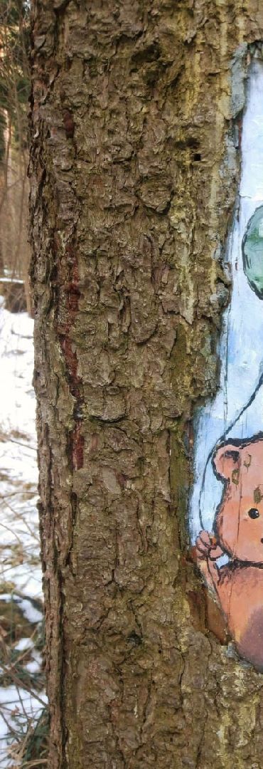 рисунки, железнодорожный, ольгинский лесопарк, природа,