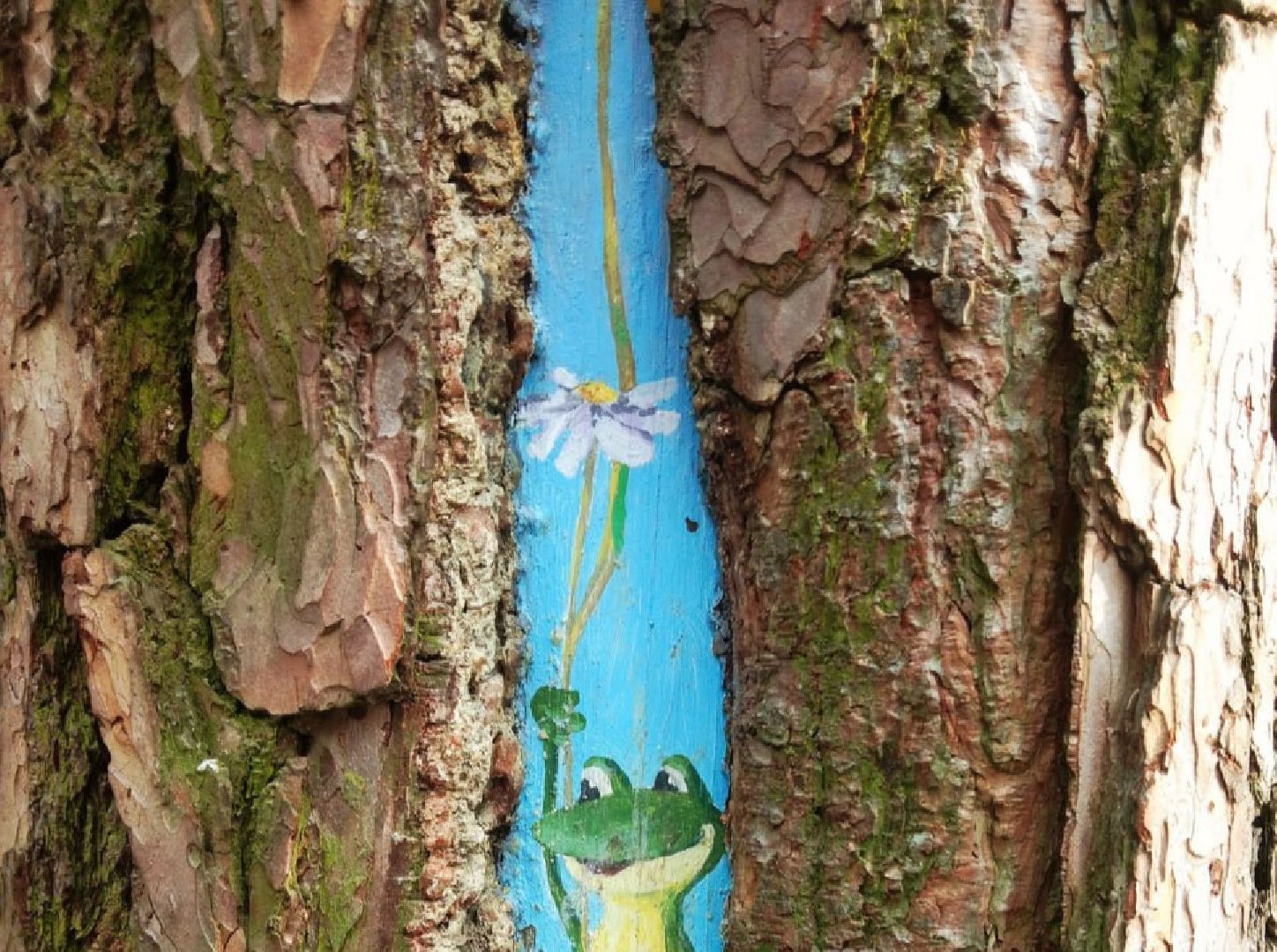 рисунки, железнодорожный, ольгинский лесопарк, природа,