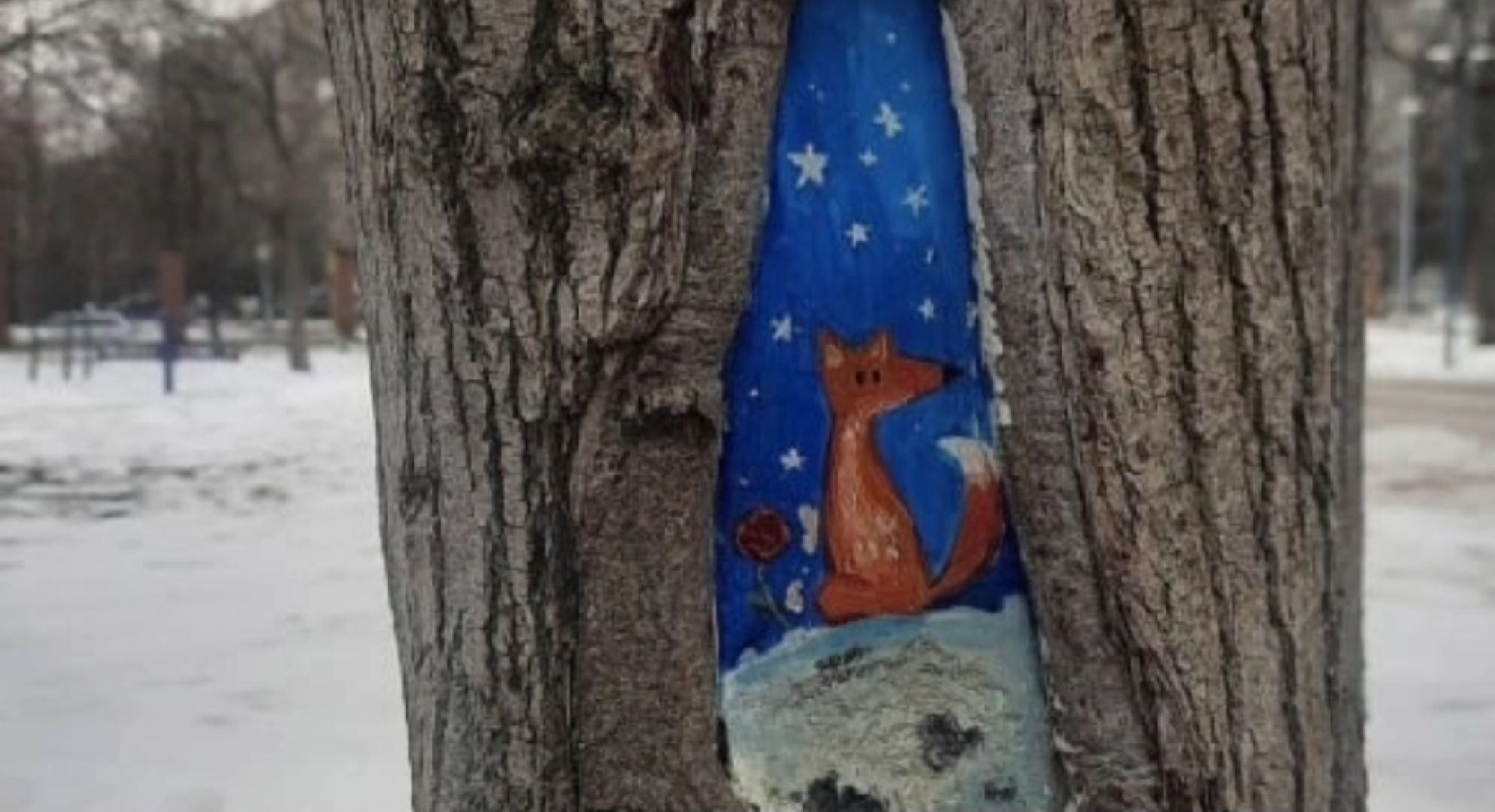 рисунки, железнодорожный, ольгинский лесопарк, природа,