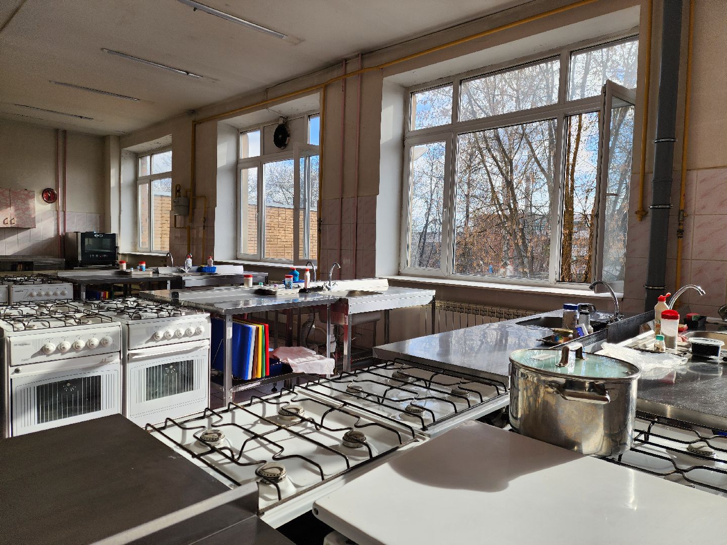 ногинск, колледж, образование, обучение, повар, герой,