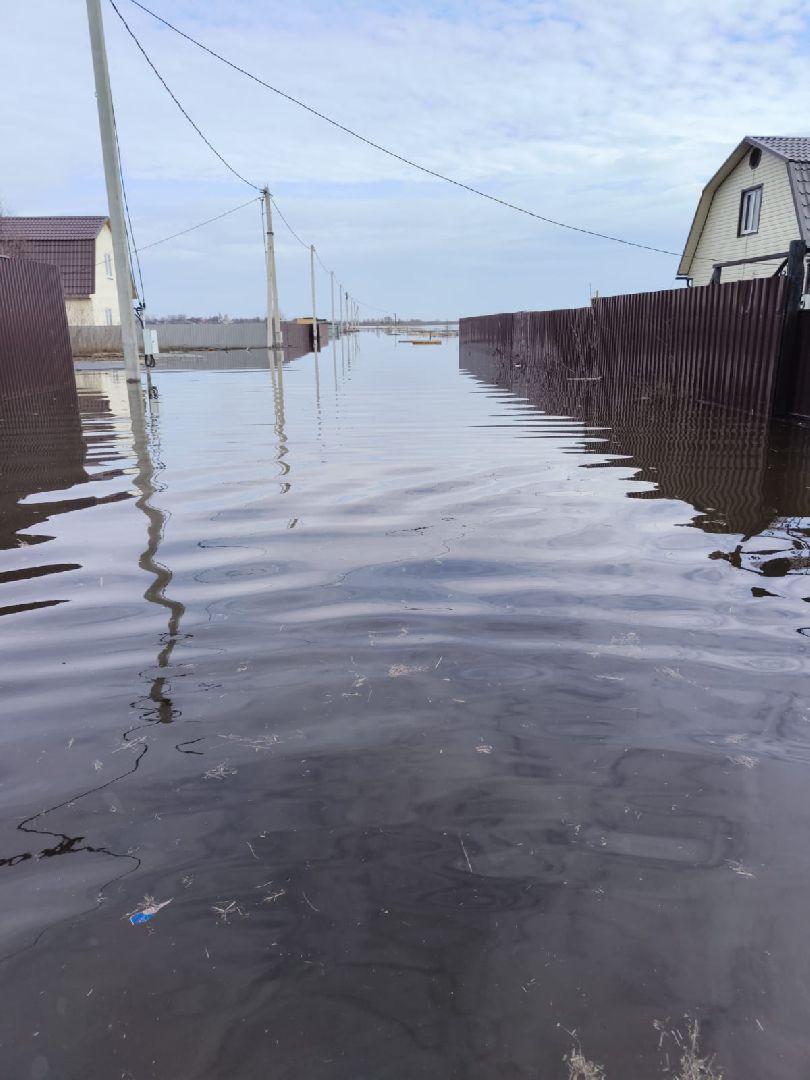 ЧП, общество, жители, подтопление