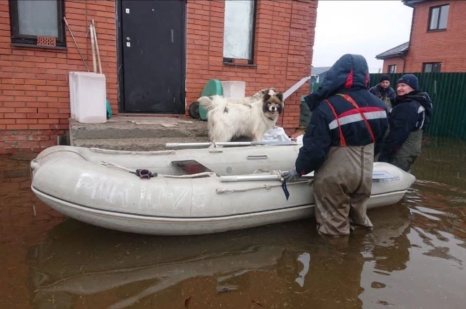 ЧП, общество, жители, подтопление