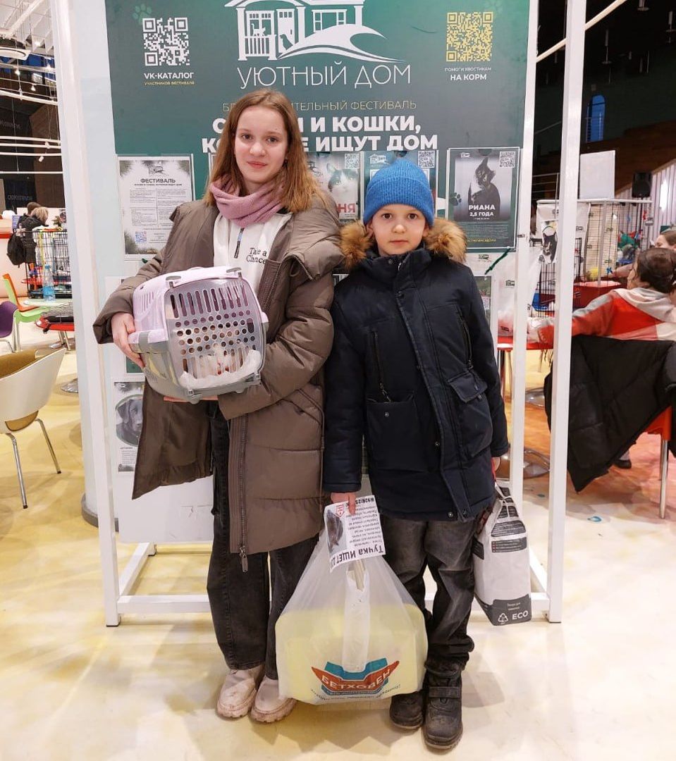 пушкино, волонтерская деятельность, бездомные животные,кошки, собаки, зоопространство,