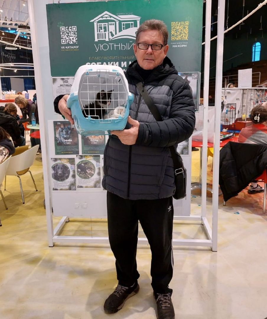 пушкино, волонтерская деятельность, бездомные животные,кошки, собаки, зоопространство,