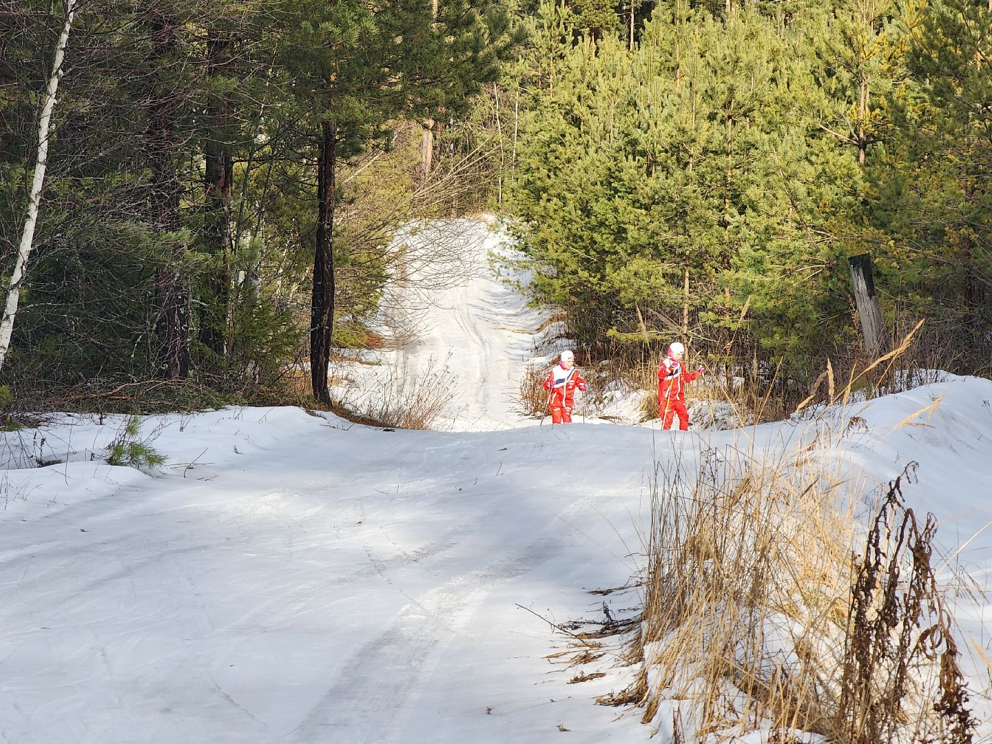 дети, лыжный спорт, юные спортсмены, шатура, рысины,