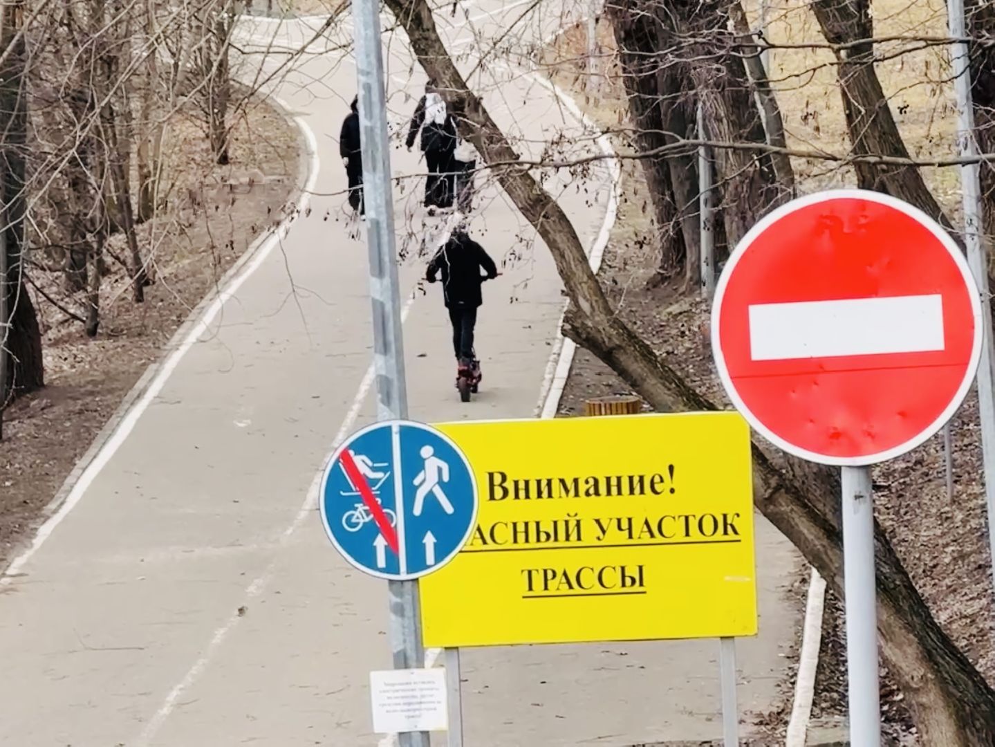 раменское, электросамокаты, безопасность дорожного движения,