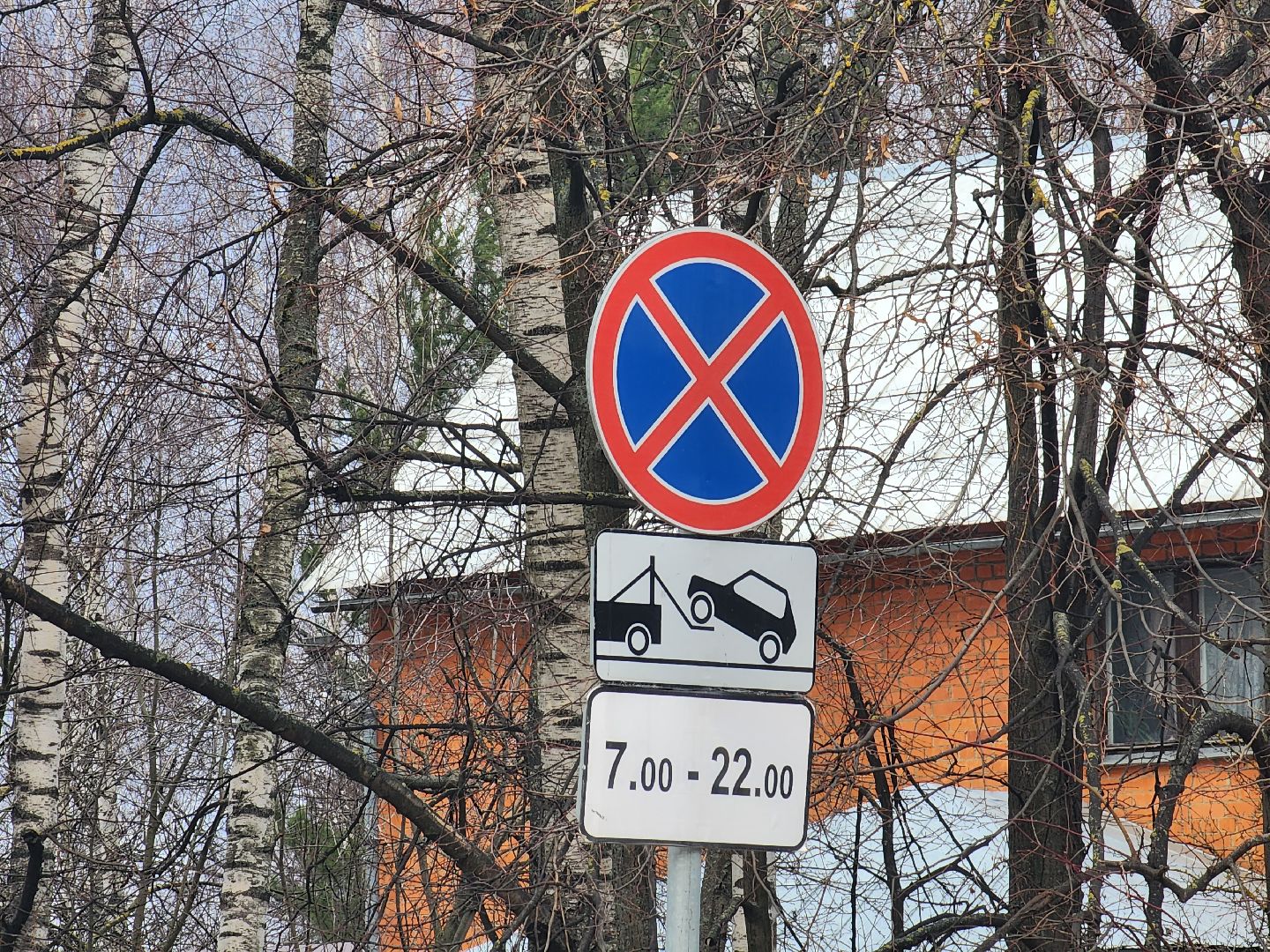 пушкино, пдд, дорожные знаки, безопасность,