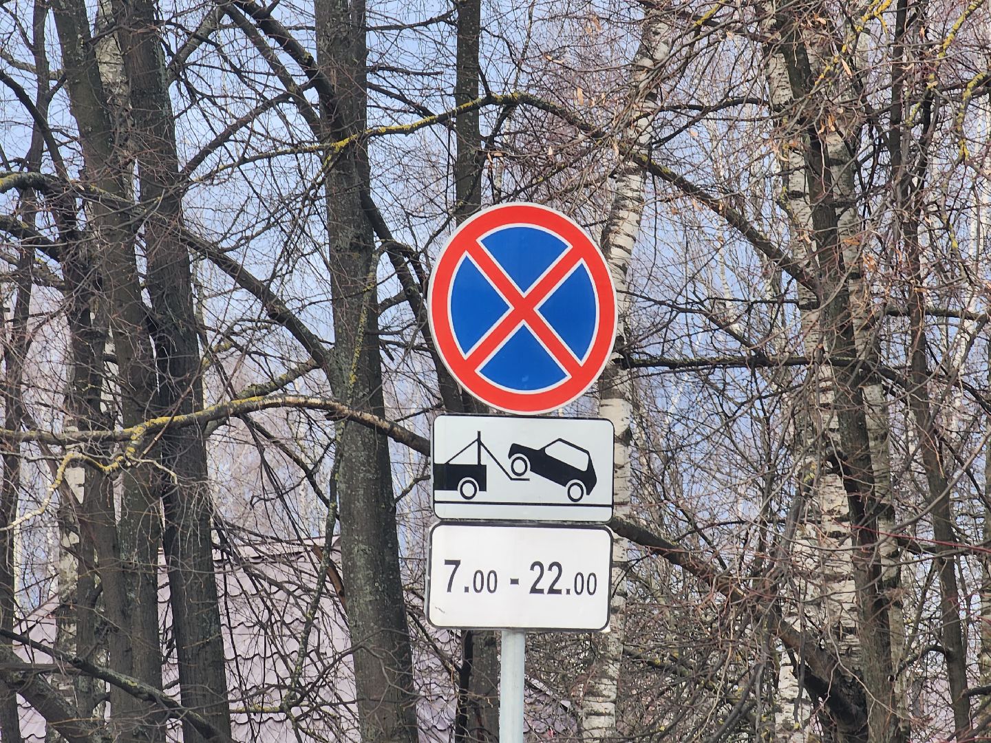 пушкино, пдд, дорожные знаки, безопасность,