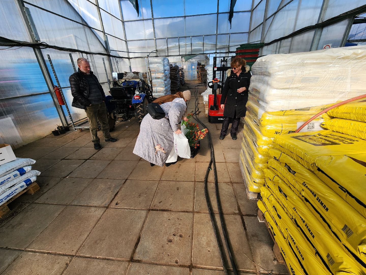 Чехов, деревня Хлевино, тепличный комплекс, садовый центр, тюльпаны, сорта, особенности, характеристики, 8 Марта,