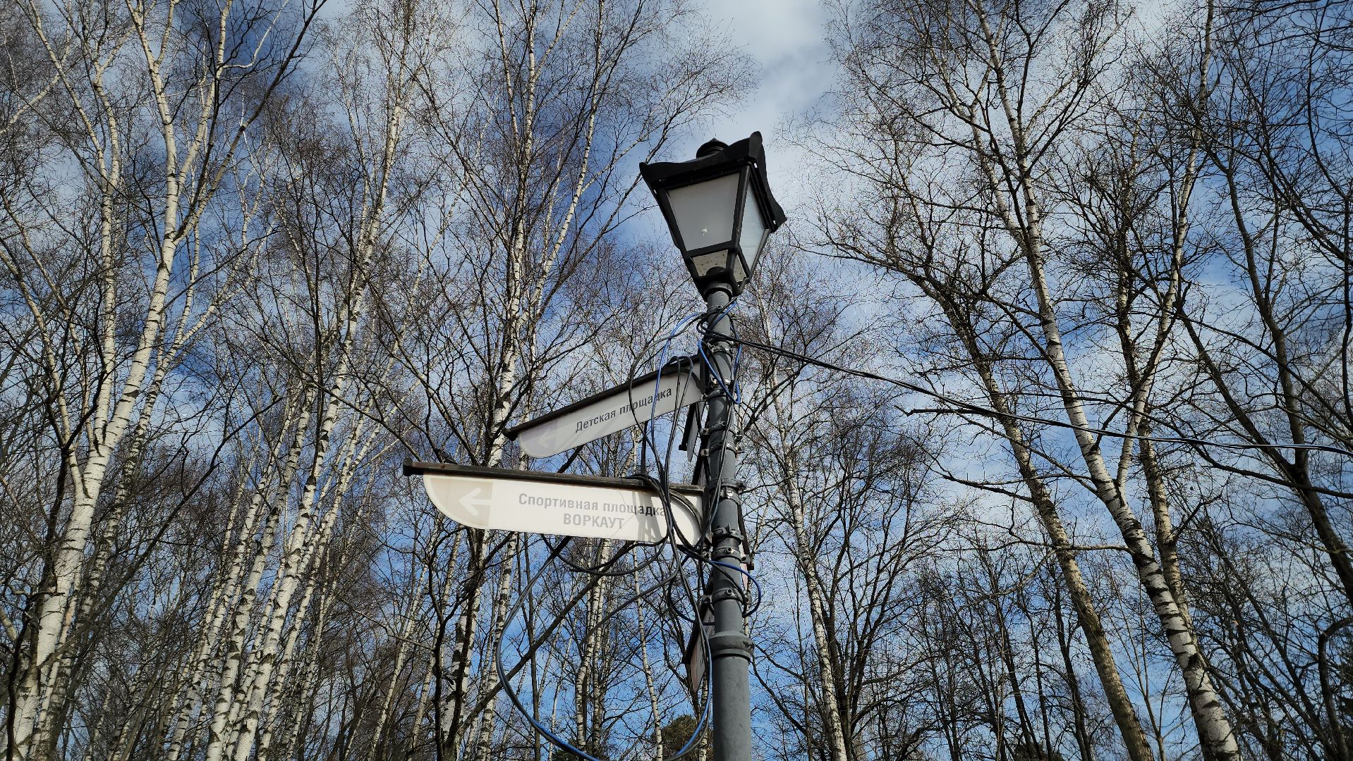 красногорск, парки красногорска, ивановские пруды, ремонт,