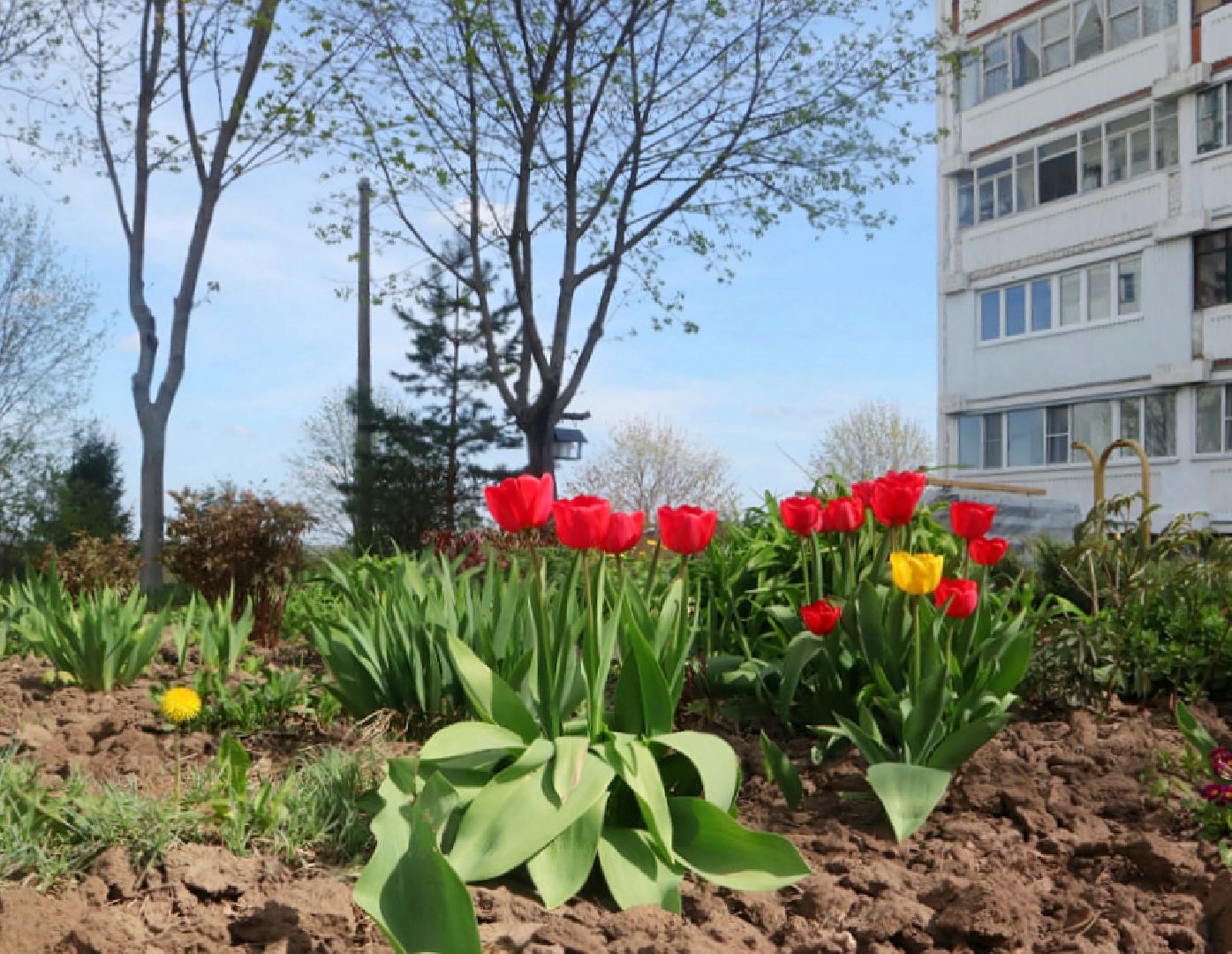 Пущино, благоустройство