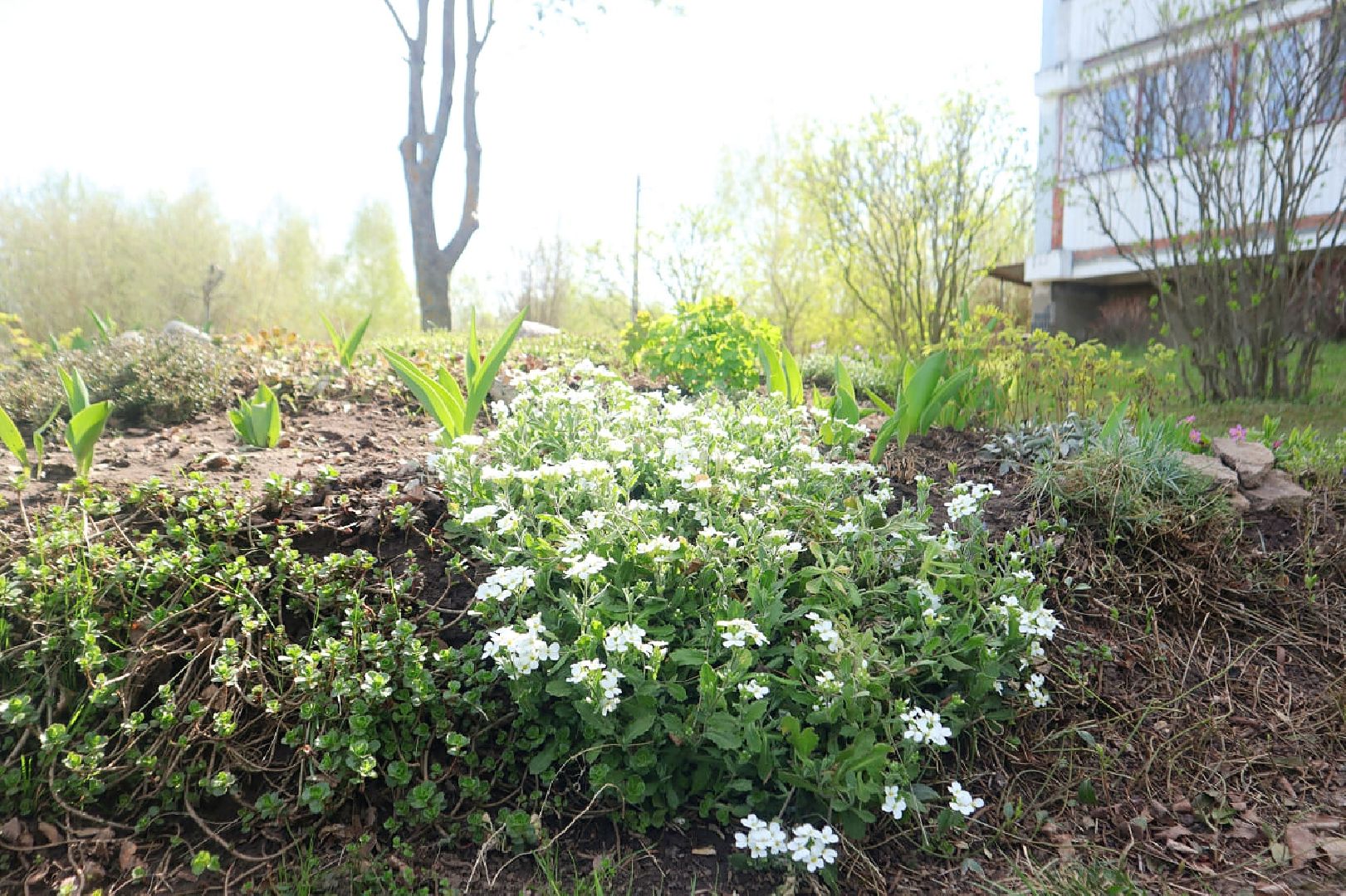 Пущино, благоустройство