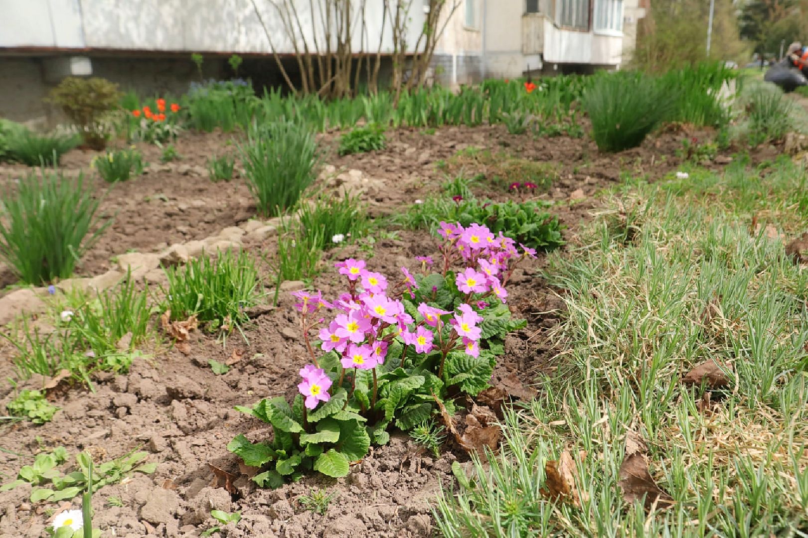 Пущино, благоустройство