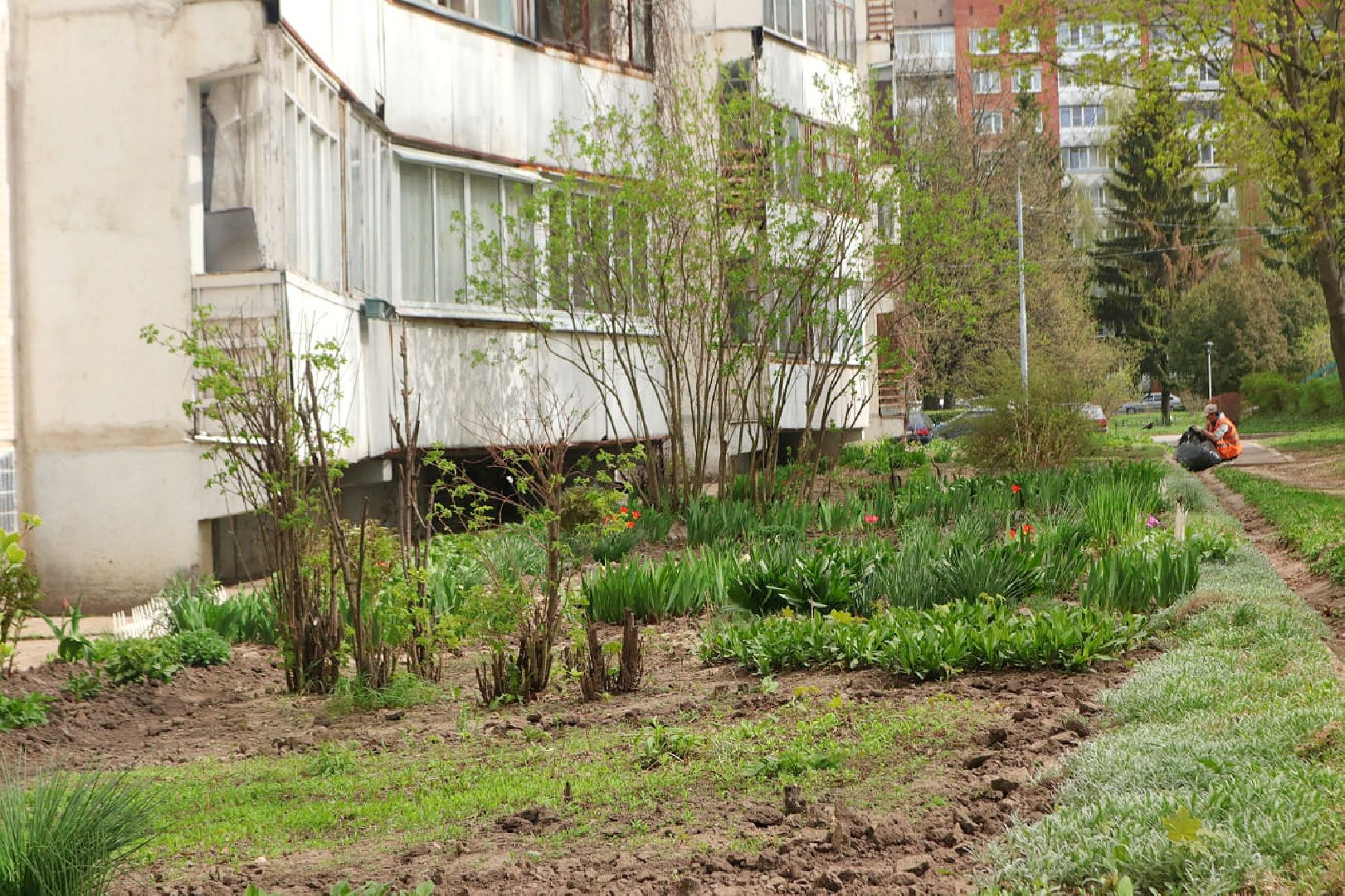 Пущино, благоустройство