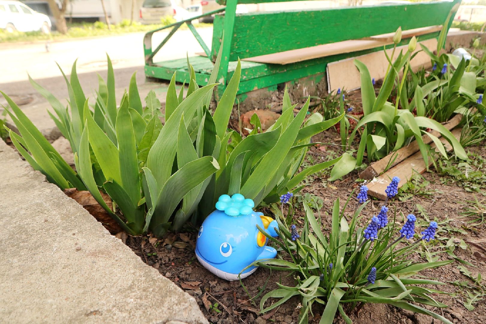 Пущино, благоустройство