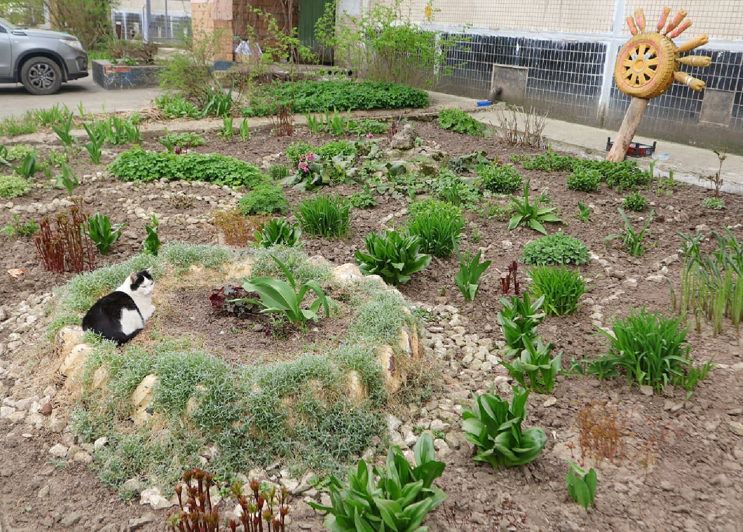 Пущино, благоустройство