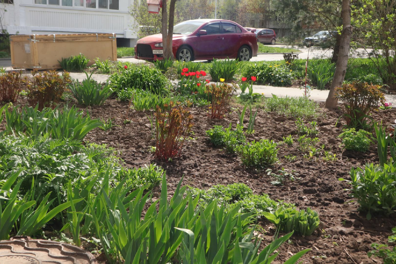 Пущино, благоустройство