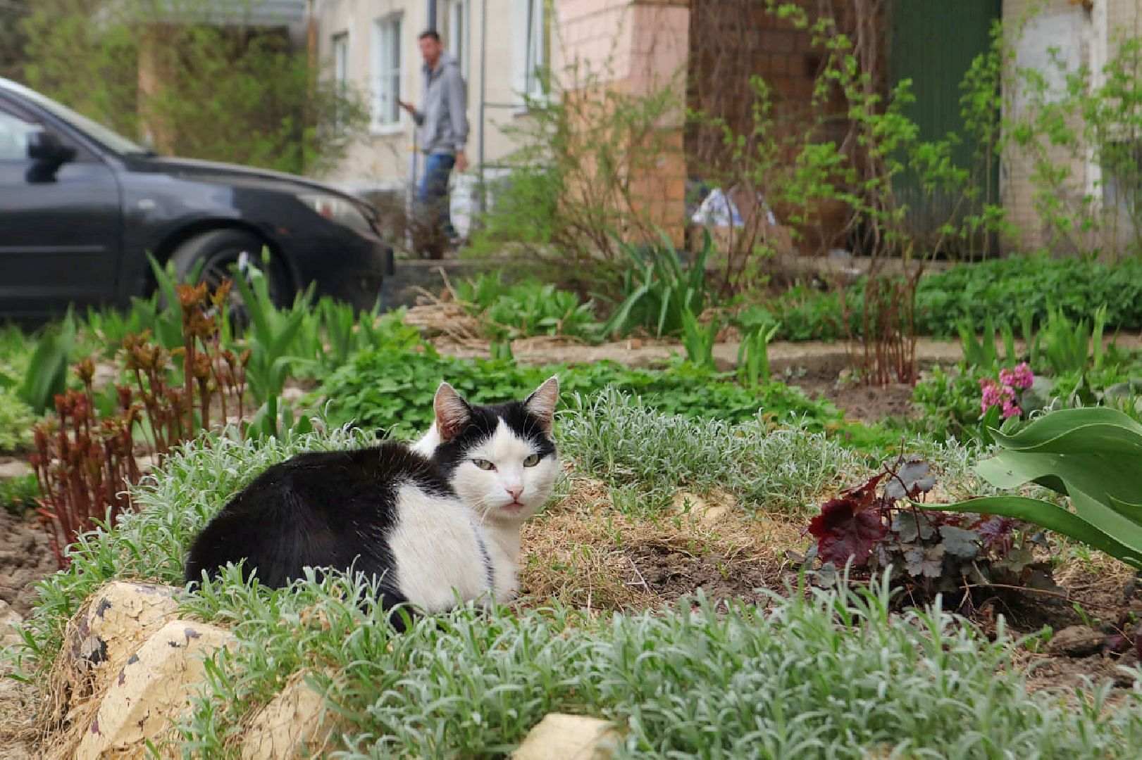 Пущино, благоустройство
