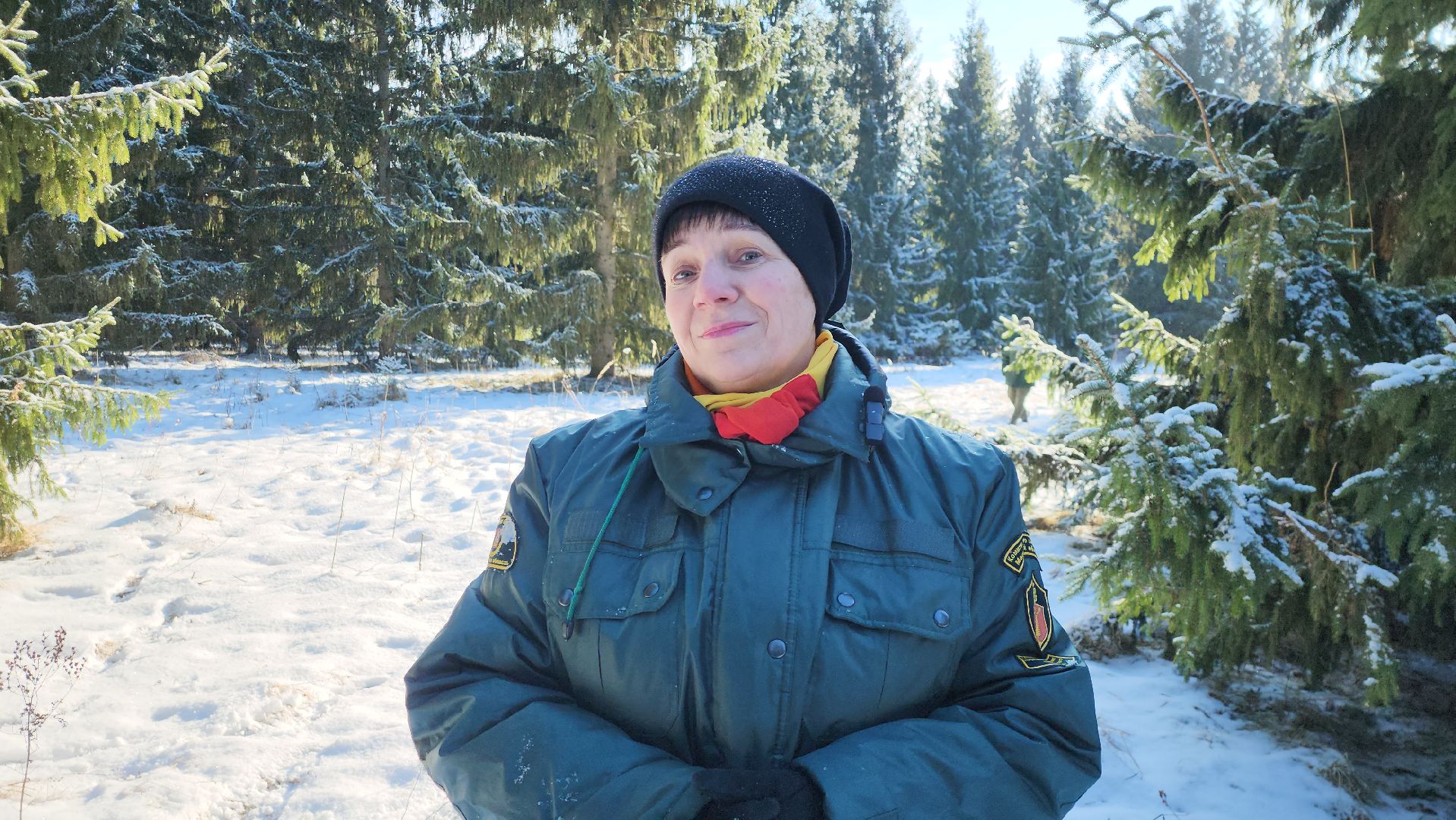 серпухов, подмосковье, заокское участковое лесничество, русский лес,