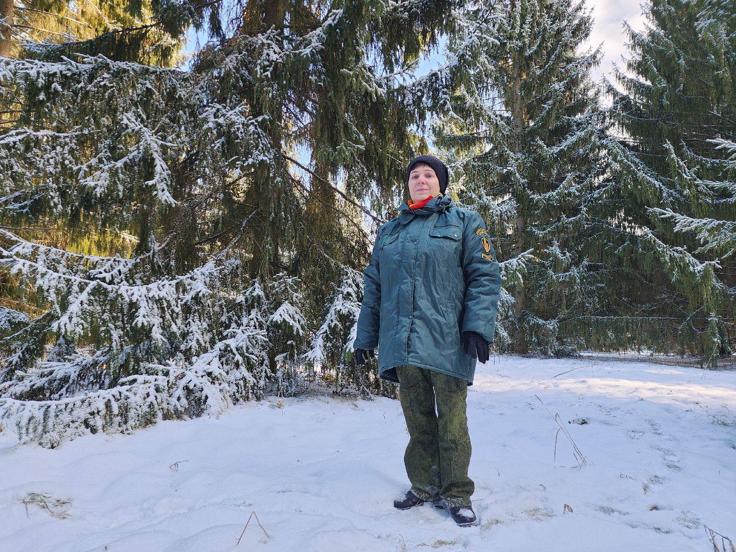серпухов, подмосковье, заокское участковое лесничество, русский лес,