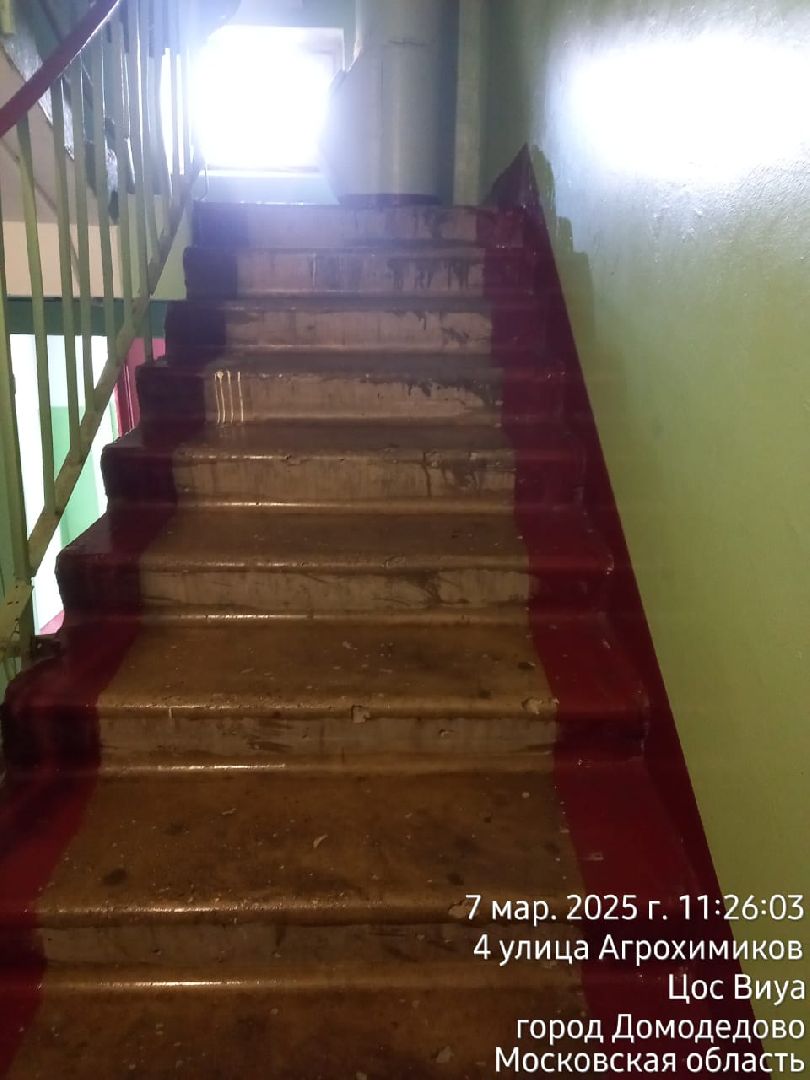 выездная администиация, домодедово,