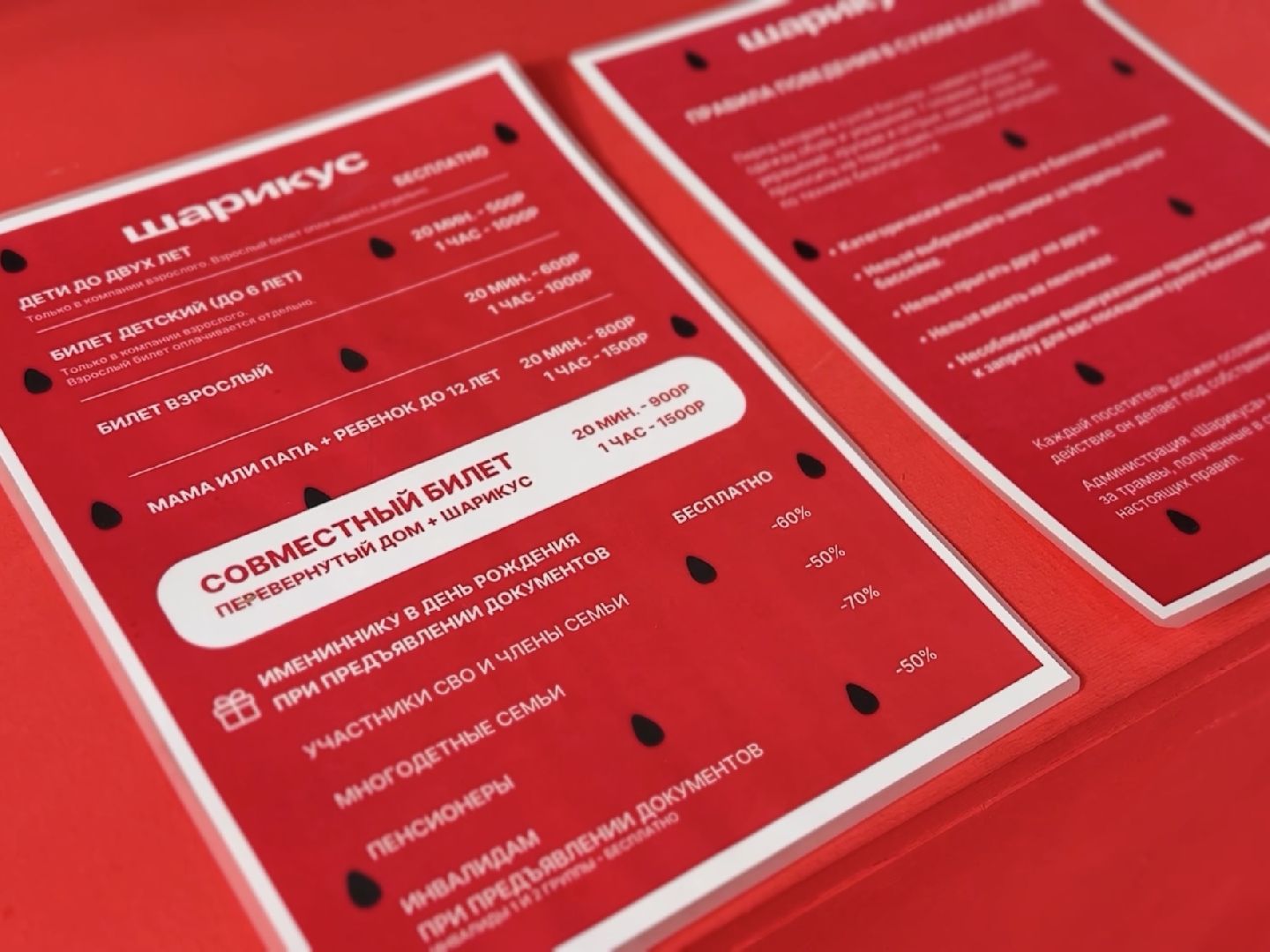 раменское, туризм, аттракционы, парк, шарикус,