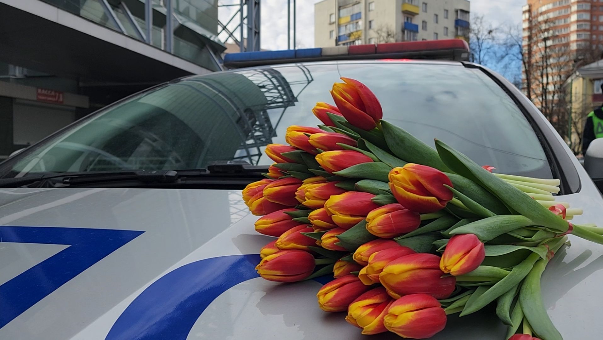 ГАИ, водитель, праздник, 8 марта, авто,