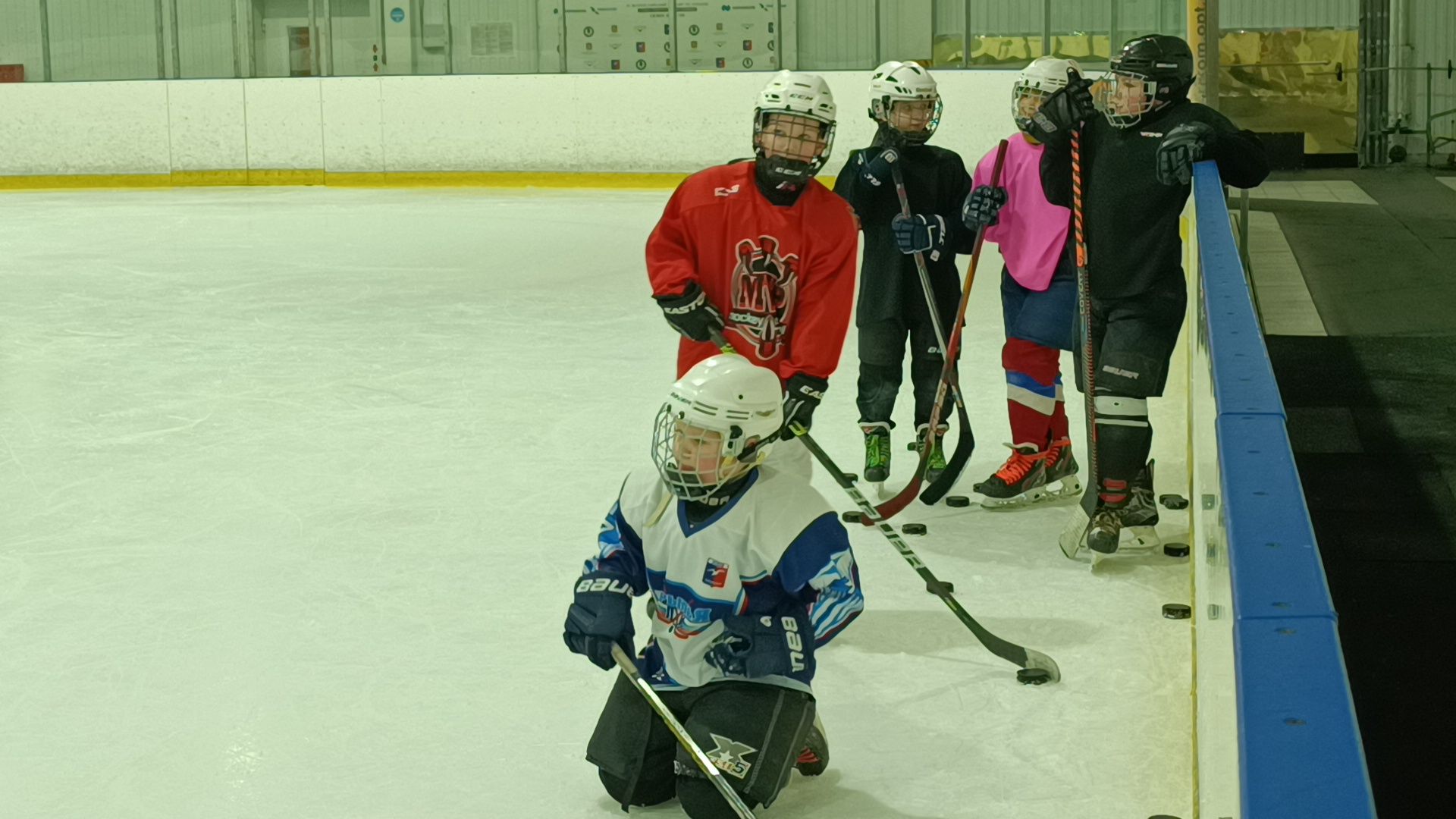 стихотворения, лобня, каток,