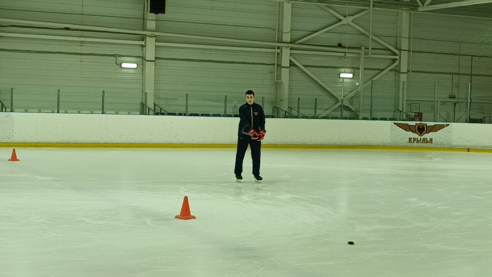 стихотворения, лобня, каток,